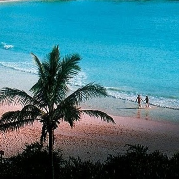 Meet your Posher, Rayna - Picture 1 of 1